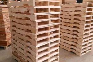 多国木材与木制品行业代表挖掘中国林木商机