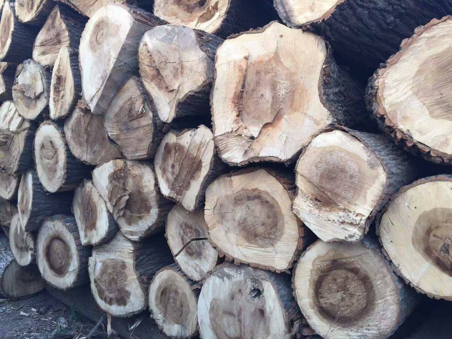 木材价格为何一路上涨