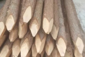 上海盛平杉木桩规格和价格是多少？