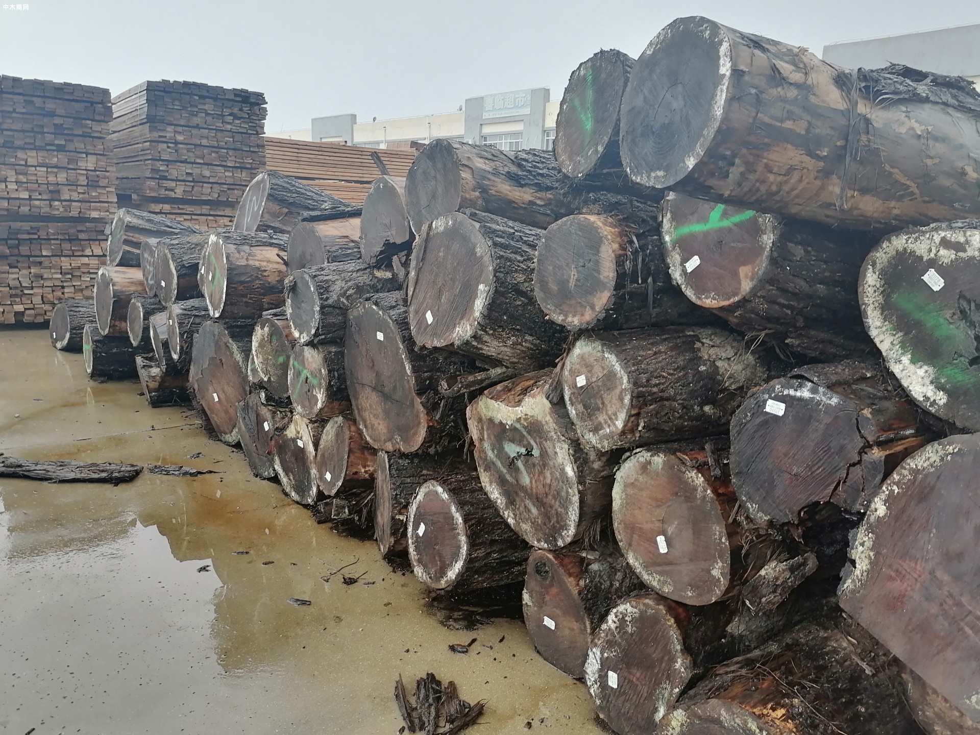 北美基准木材价格稳步上涨