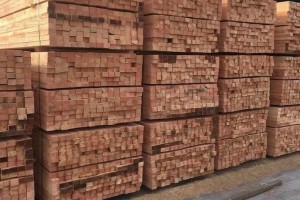 2022年来宾市木材加工业总产值预计211亿元以上