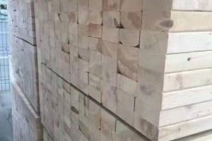 胜利林场：网上竞拍木材实现“最高价格”