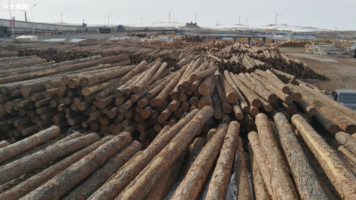 全球进口俄罗斯木材价格行情