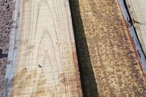 刺槐烘干原木板材生产厂家