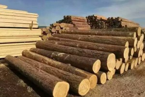 新西兰原木出口市场展望