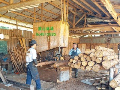 本地香杉木条、老杉木树、大料粗料房梁屋梁木屋柱子木料批发图6