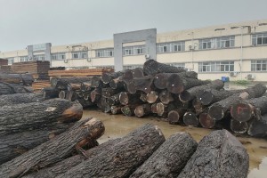 河北省永年区:“木材小镇”又添乡村振兴新引擎