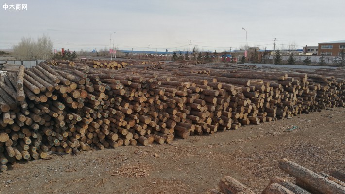 俄罗斯木材几乎从滨海边疆区运往中国