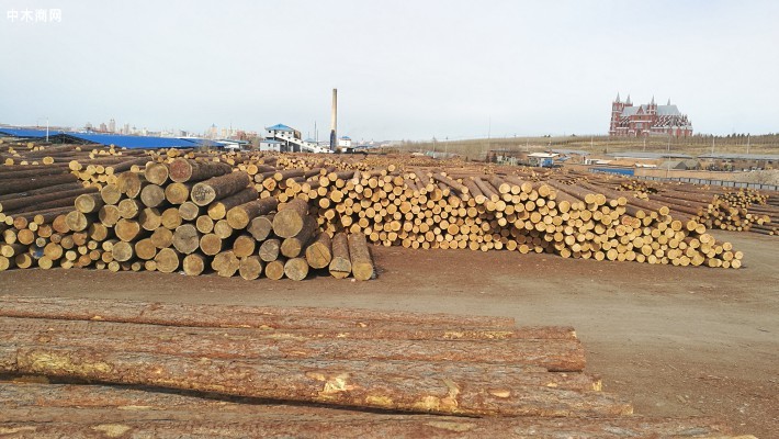 俄方欢迎中企在俄罗斯开展木材深加工投资合作