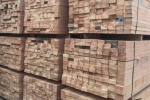 发展院实地考察安徽宣城宣州区木材加工产业