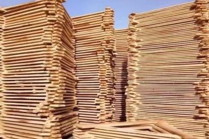 上半年我国是全球规模最大的木材市场