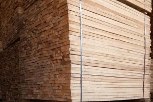 临颍优浩木业榆木烘干板材的优缺点有哪些?