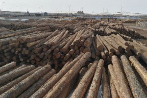 7月俄罗斯对中国的木材供应量增长6.2%