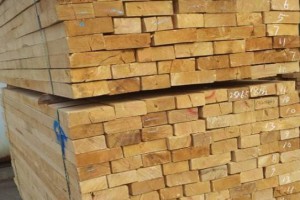 白俄罗斯木材出口创历史新高