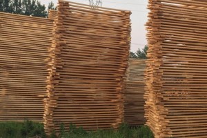 裴济木材行业举步维艰