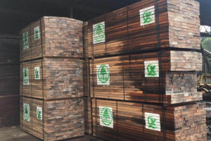 加蓬二季度木材产量下降30%