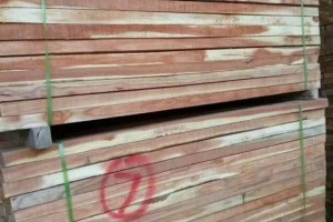 广西右江区召开2024年一季度木材加工安全布置会