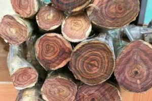越南木材及林产品出口预计下降17.5%