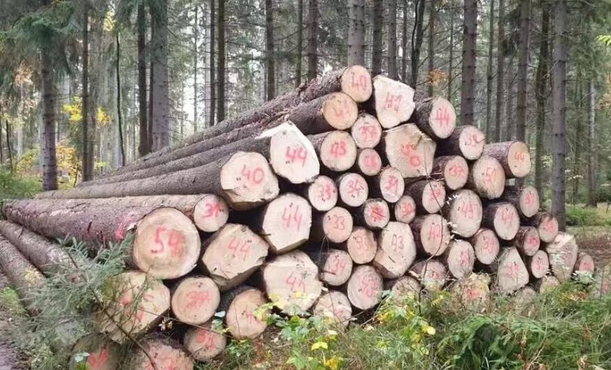 芬兰原木砍伐量行情