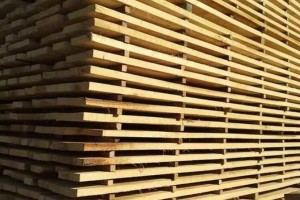 菏泽庄寨镇木材产业集群式发展