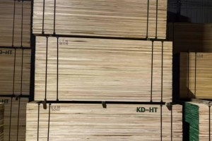 丰县：优化税费服务举措助力木业向新发展
