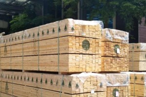 芬兰木材价格上涨导致销量下降