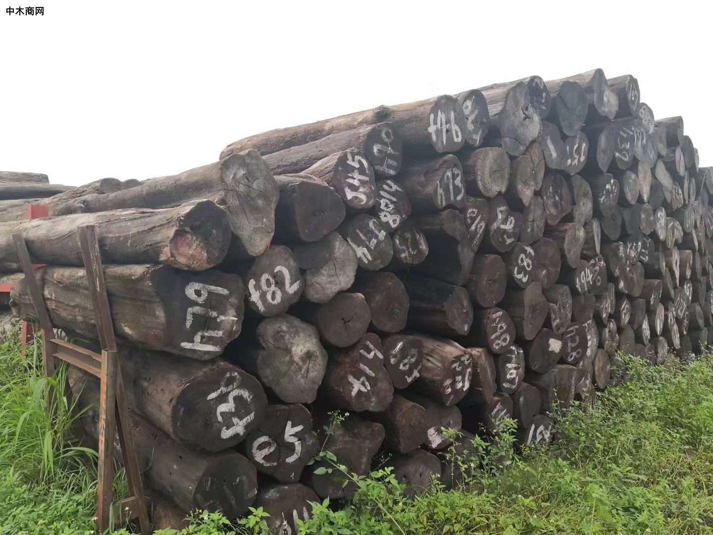 低价处理一批缅甸柚木原木厂家