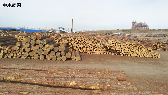 俄罗斯对中国木材出口量行情
