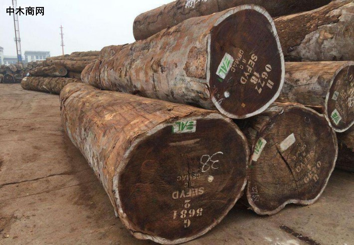 中国对非洲木材需求行情