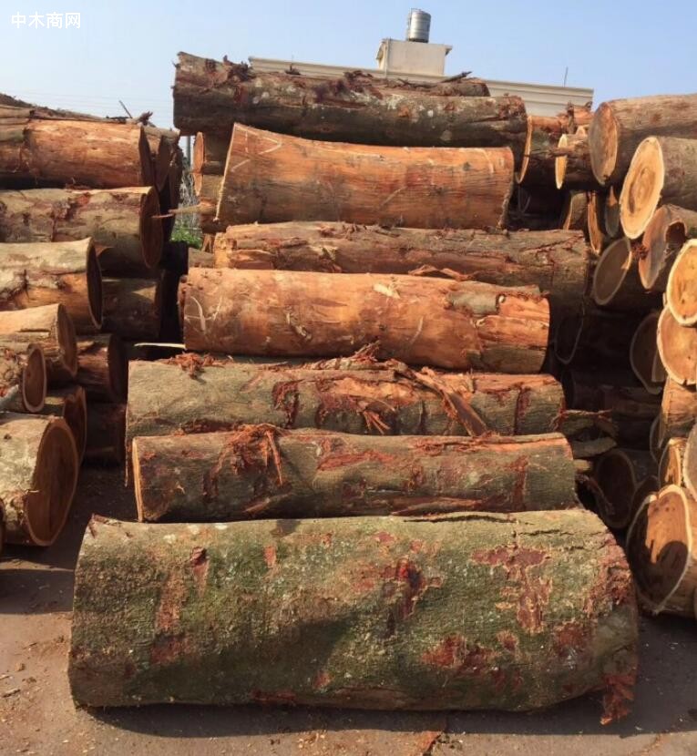 广西鹿寨县现有各类林木加工企业82家