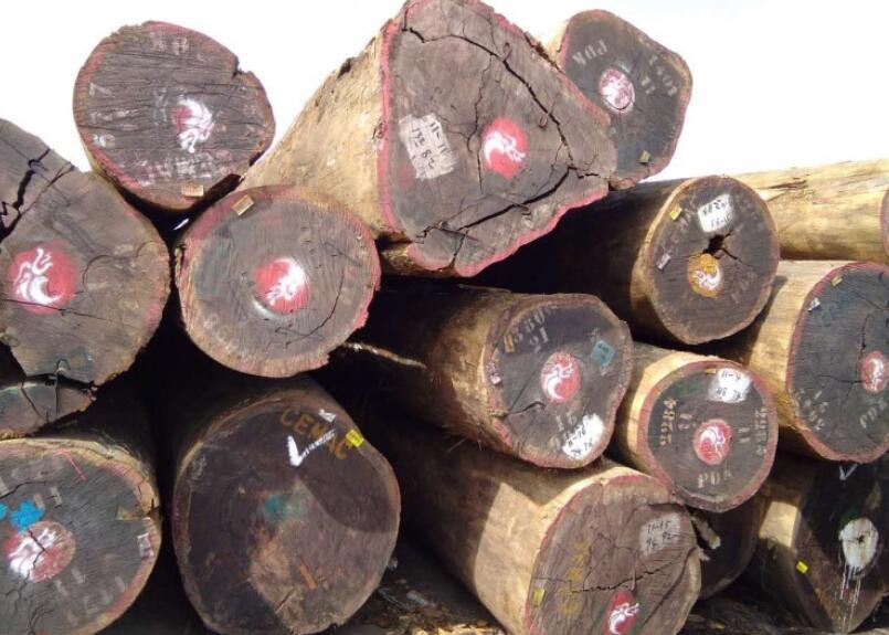 中国进口加蓬木材行情