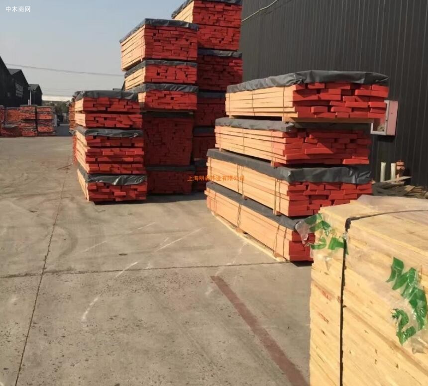 芦山县升隆林业片区开展木材加工厂安全生产检查