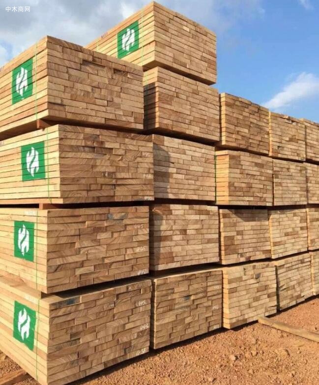 中国从非洲进口木材行情