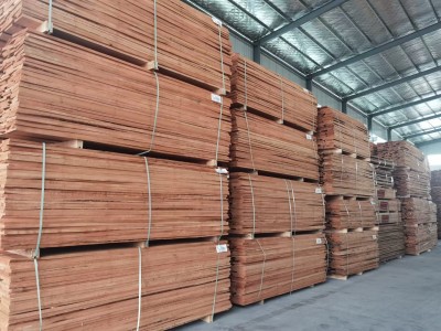 欧洲进口榉木板材批发图7