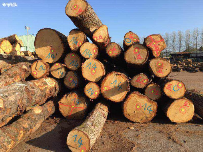 中国从波兰进口木材行情