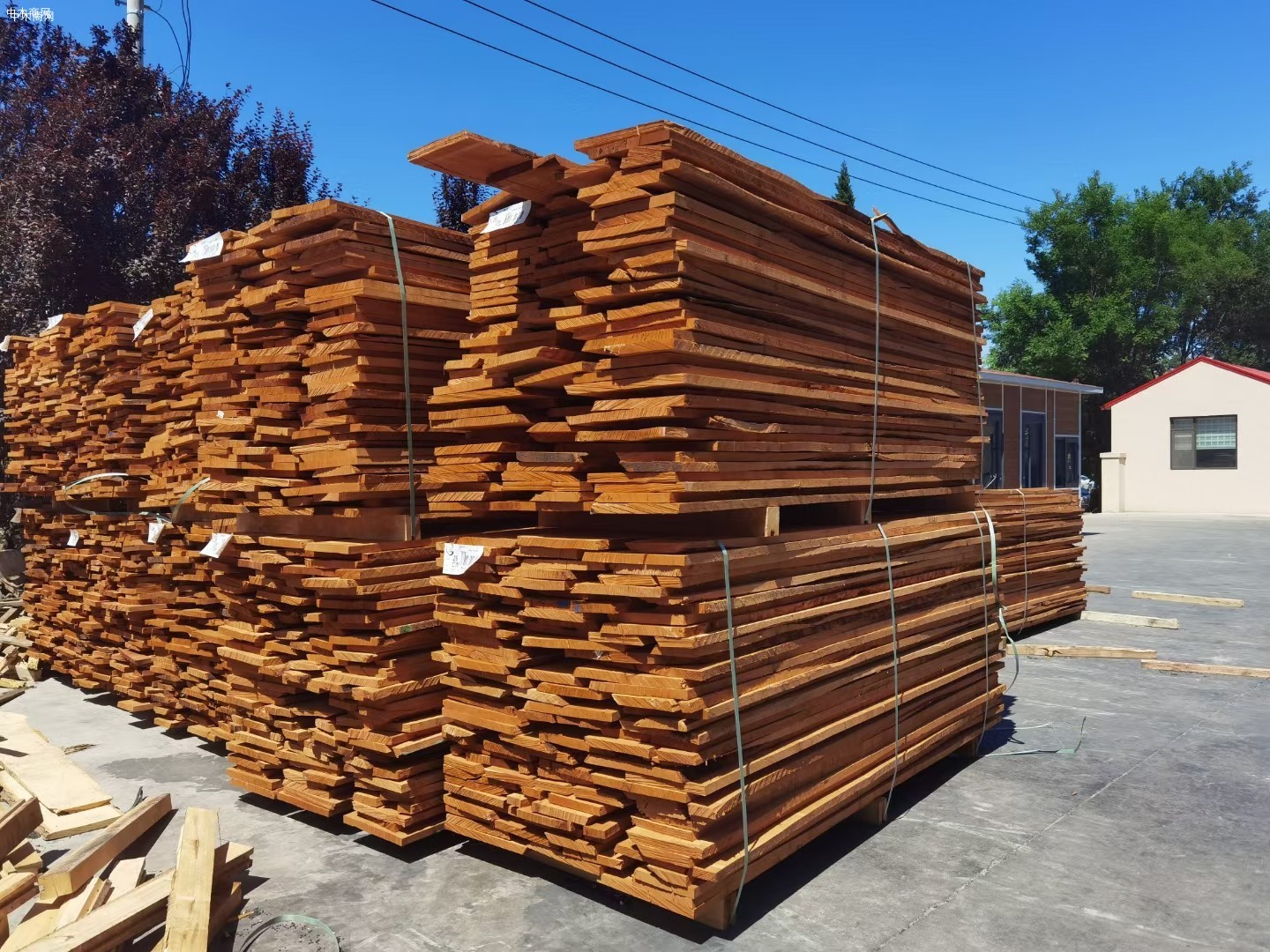 欧洲进口榉木板材批发价格