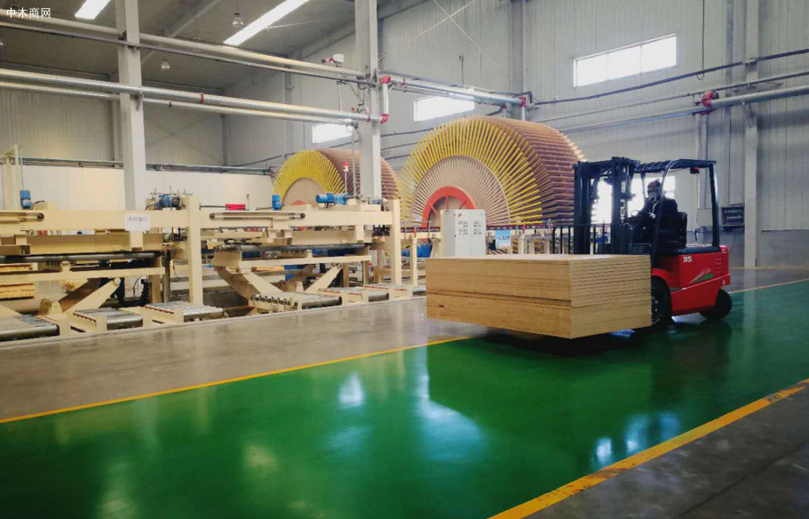 新疆博湖县将建设年产25万m3芦苇刨花板生产线