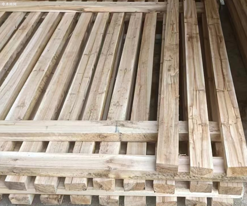 广西南宁横州市大力发展木材加工全产业链
