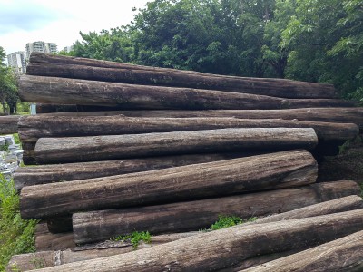缅甸瓦城柚木原木500多吨低价处理